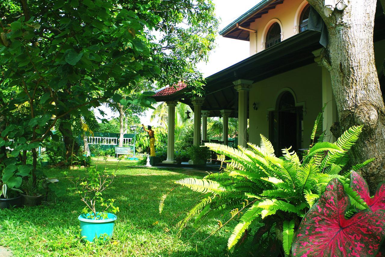 Villa Eco Green Negombo Exteriér fotografie