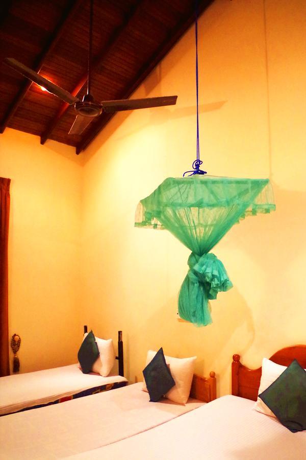 Villa Eco Green Negombo Exteriér fotografie